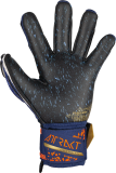 Reusch Attrakt Fusion Guardian Junior 5472945 4411 blue orange back